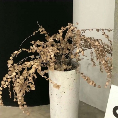 Furry色彩搭配实用技巧Furry群